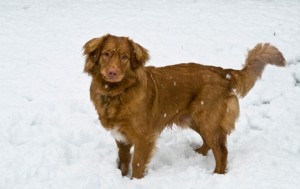 More snow - 10 months