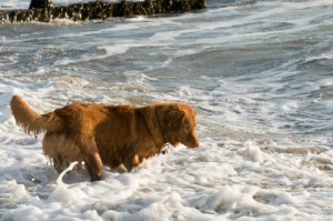 Playing in water - 8 months