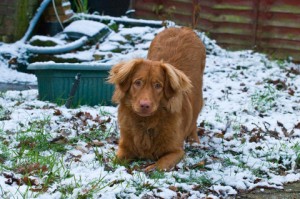 Playing in snow - 10 months