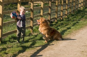 Rudy and Noah in training