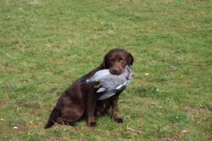 Mum (Winnie) Working