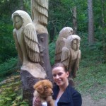 Nova scotia duck tolling retriever, willow.