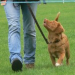 Taking it all in her stride