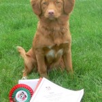 And the winner is .....