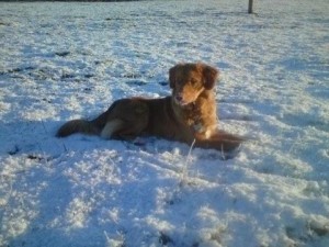Chilling in the snow!