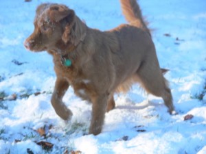 Whats this white stuff!
