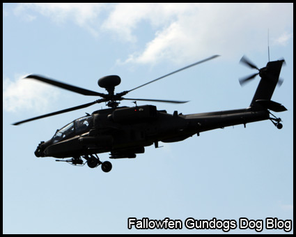 Apache Helicoptor Gunship